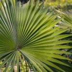 farmacie-gt-capelli-unghie-uomo-integratore-alimentare-1