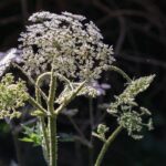 farmacie-gt-no-acid-stick-pack-integratore-alimentare-1