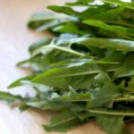 farmacie-gt-transito-capsule-integratore-alimentare-a-base-di-cicoria-1