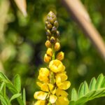 farmacie-gt-transito-flacone-integratore-alimentare-1